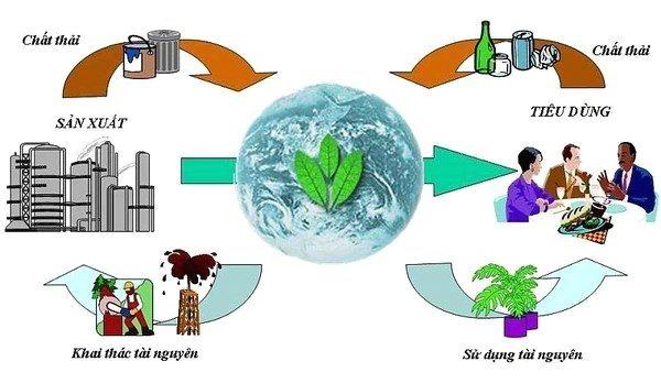 Tìm hiểu về việc đánh giá tác động môi trường (ĐTM) là gì?