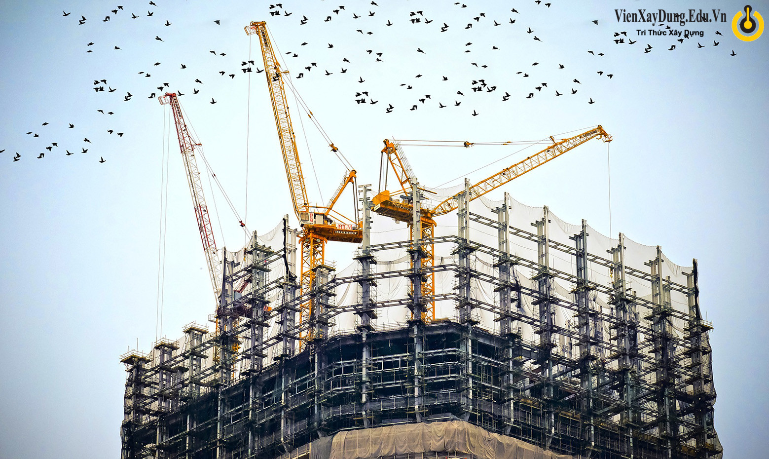 thẩm quyền cấp chứng chỉ năng lực xây dựng thẩm quyền cấp chứng chỉ năng lực xây dựng