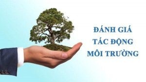 Đối tượng nào phải lập báo cáo đánh giá tác động môi trường (ĐTM)?