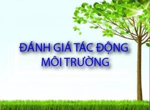 Quá trình thẩm định báo cáo đánh giá tác động môi trường