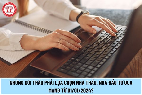 Những gói thầu phải lựa chọn nhà thầu, nhà đầu tư qua mạng ...